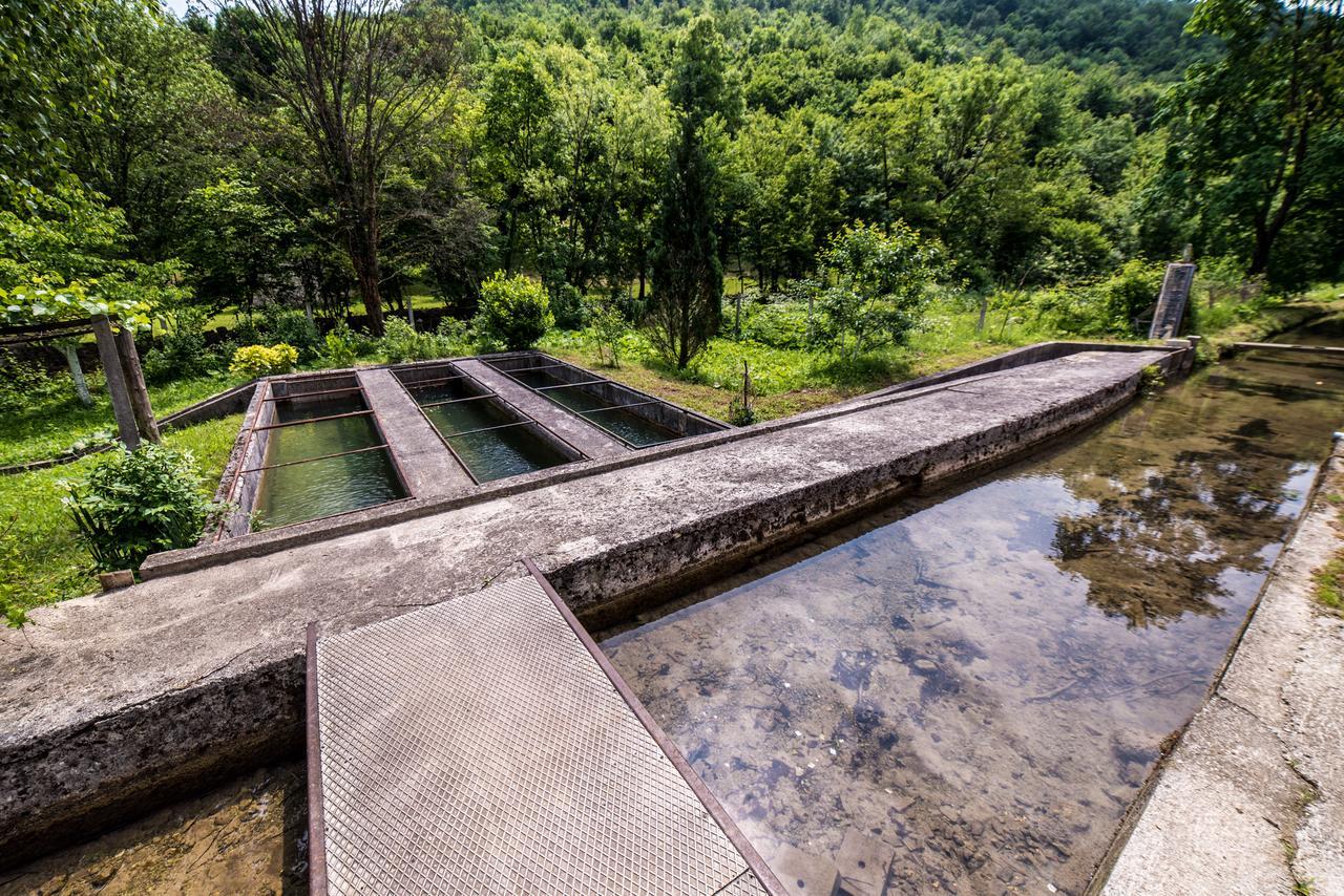 Eko House Dobrenica Villa Bihać Exterior foto